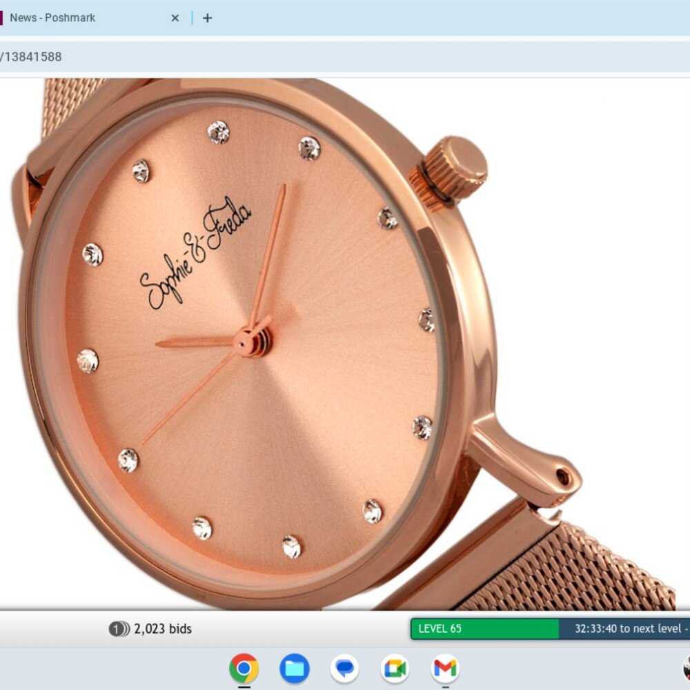 New Sophie-N-Freda Watch,with Real Swarovskil Crystals